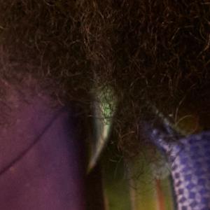 Carcosian Film Night - 04 December 2025 @ Cinéma Flagey