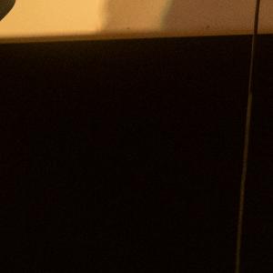 Que Ton Règne Vienne - Mathias Averty - 16 January 2026 @ Cinéma Flagey