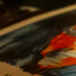 Que Ton Règne Vienne - Mathias Averty - 16 January 2026 @ Cinéma Flagey