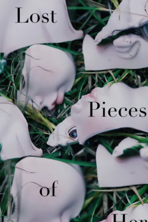 Lost Pieces of Her